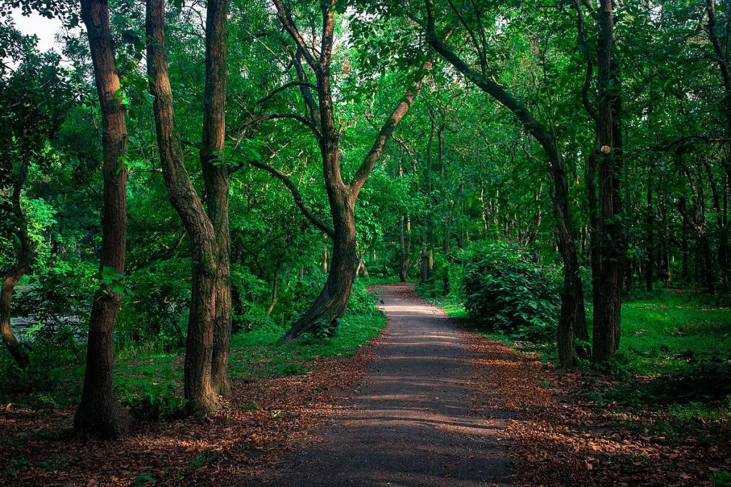 Shortcut